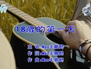 内地毛鹏懿《18岁的第一天》2017国语MV 397MB百度网盘资源