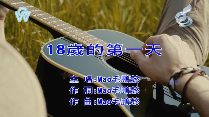 [2017][内地][国语-MV][毛鹏懿-18岁的第一天][MPG][397MB][百度网盘]
