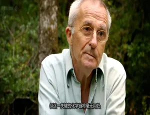 1080P 英语中字！《人体奥妙之细胞的暗战》第 1 季 1 集 百度网盘资源