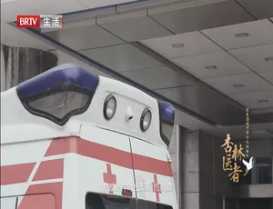 1080P 6集英语中字《杏林医者》纪录片百度网盘资源