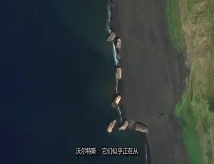 1080P 英语中字！纪录片《到底是什么？What on Earth？》第 11 季 10 集 百度网盘资源