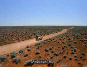 1080P 英语中字！《到底是什么？What on Earth？》第 10 季 10 集 百度网盘资源