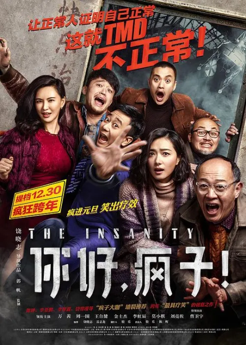 [2017][中国][你好，疯子][国语中字][MP4][760MB][720P][百度网盘]