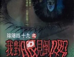 2003香港惊悚片阴阳路19：我对眼见到嘢 国粤中英字822MB百度网盘资源