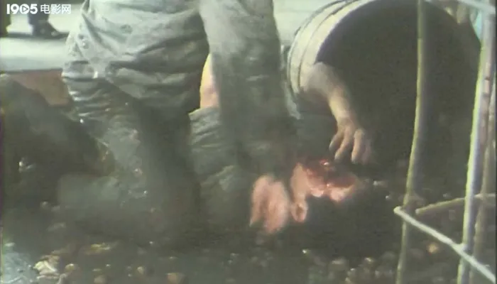 [1985][中国内地]《少年犯》[国语无字][MKV_1.24GB][朱曼芳 _ 陆斌 _ 杨涛]