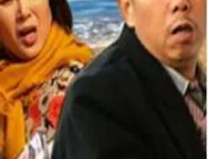 2003 中国大陆《不是钱的事儿》国语中字 5.35GB 百度网盘资源