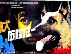 必看！1985 经典儿童剧情片《狼犬历险记》 5.4G 全 1 集百度可下