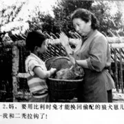 1985《狼犬历险记》[剧情/儿童][汉语普通话/全1集5.4G][百度下载]