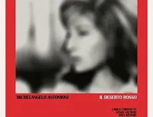1964经典《红色沙漠 Il deserto rosso》中字全1集5.73G 百度下载-小文资源网