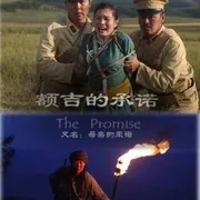 2013《额吉的承诺》[汉语普通话/全1集5G][百度下载]