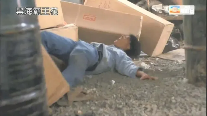 [1990][香港]《黑海霸王花》[国语中字][MKV_1.35GB][惠英红_成奎安_大岛由加利]