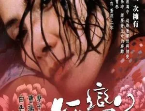 2005 香港经典《孤恋花》国语无字 avi 690m 资源