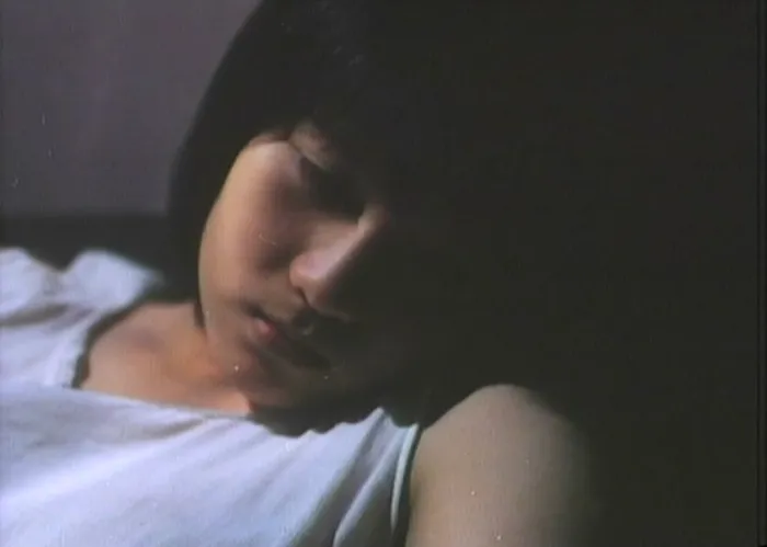 [1988][香港] 《雪在烧》[国语中字] [DVDRip_MKV_1.37G]
