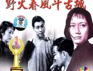 1963 内地经典《野火春风斗古城》：王晓棠 王心刚 陈立中主演 3.8GB 高清资源