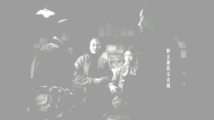[1963][内地]《野火春风斗古城》[国语][mp4_MKV_3.8GB][王晓棠_王心刚_陈立中]