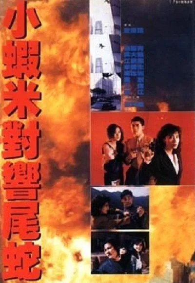 [1990][香港]《皇家师姐5》[动作][国粤语中英字][mkv_430M]