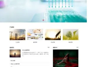 精细化工化学原料企业织梦dedecms响应式网站模板（自适应移动端）-小文资源网