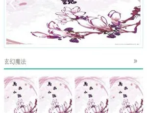 杰奇1.7手机WAP小说模板完整修复版：巧用百度MIP-小文资源网