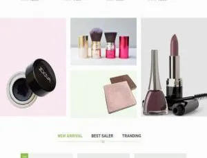 绿色大气化妆品网购商城HTML整站模板-小文资源网