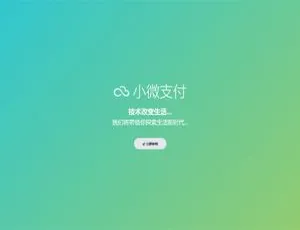 Thinkphp内核：小微支付服务商专属源码-小文资源网