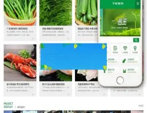 绿色蔬果食品公司必备！织梦DedeCMS含移动端网站模板-小文资源网