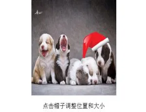 QQ头像圣诞帽子在线生成源码大公开-小文资源网