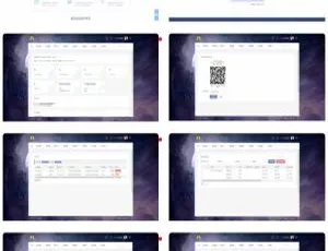 2020全新聚合支付系统：兼容SDK，含支付宝代付，覆盖第三方与第四方支付-小文资源网