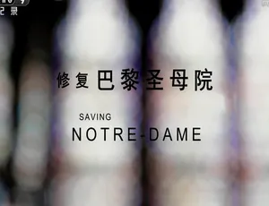 1080P 国语配音中字！纪录片《修复巴黎圣母院 2020》百度网盘资源-小文资源网