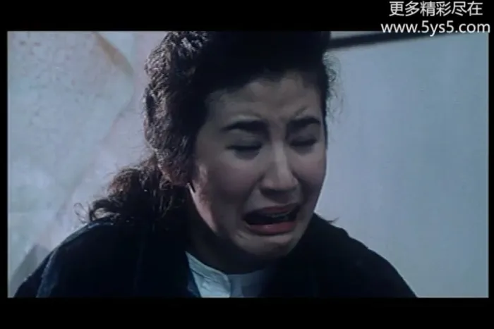 [1989][香港]《求爱夜惊魂》[张曼玉_吴启华_吴君如][国粤语简繁英字][MKV_971MB]