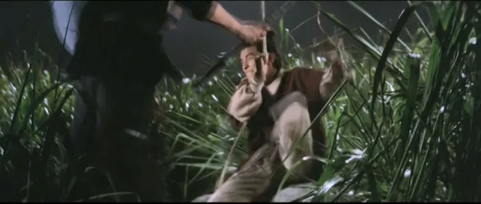 [1970][香港邵氏]《游侠儿》[动作_剧情][国粤双语][720p_mkv]