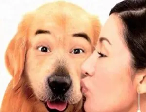 2001 中国大陆经典《完美情人》国语中字 5.04GB 百度网盘资源