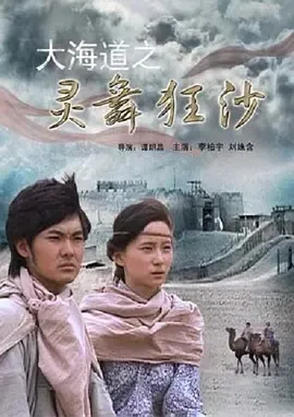 2008《大海道之灵舞狂沙》[汉语普通话/全1集4.56G][百度下载]