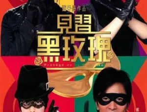 2004香港经典《见习黑玫瑰_女子扫黑组》4K修复国语 1.81GB 百度网盘资源-小文资源网