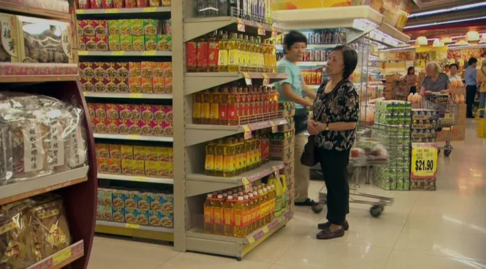[2008][香港][天水围的日与夜][粤国双语简繁中字][MKV][2.00GB][百度网盘]