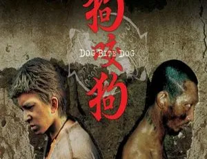 2006香港经典《狗咬狗》国语中字MKV 1.36GB 百度网盘资源