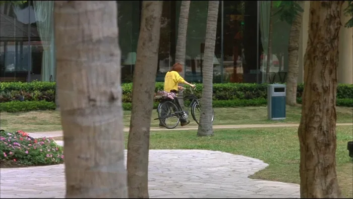 [2003][香港][百年好合_Love.for.All.Seasons][国粤双语中字][MKV][2.50GB][百度网盘]