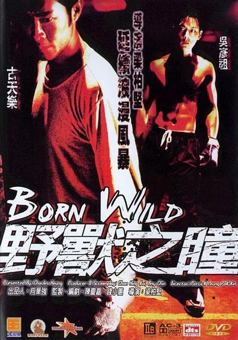 [2001][香港][野兽之瞳][国_粤语中字][MKV][2.80GB][百度网盘]