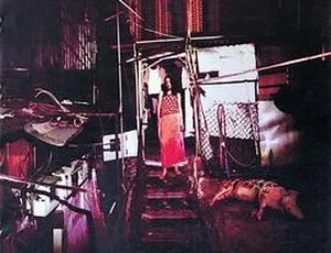 香港经典《香港有个荷里活》2001 中字高清 1.41GB 网盘资源