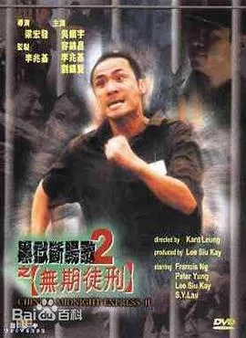 [2000][香港][黑狱断肠歌2无期徒刑][国语中字][MP4][2.01GB][1080P][百度网盘]