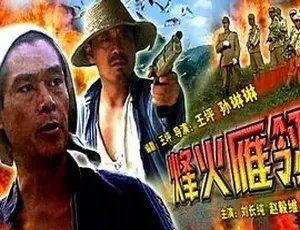 2005 必看！战争剧情神作《烽火雁翎》全 1 集 5.3G 百度速下