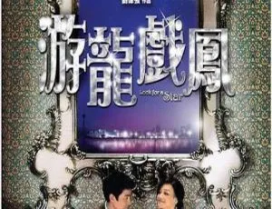 2009香港经典电影《游龙戏凤》 内封国粤双语多国字幕MKV 5.78GB 百度网盘资源