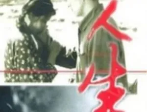 1984中国人生国语FLV 1.66GB百度网盘资源