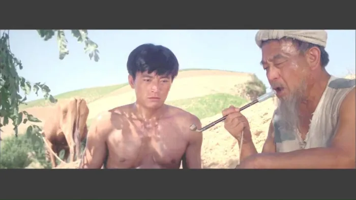 [1984][中国][人生][国语][FLV][1.66GB][百度网盘]