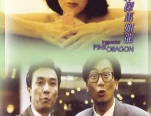 1991 香港经典《神探马如龙》 国语粤语中字 MKV 1006MB 百度网盘资源