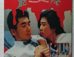 1993香港艳降：国粤双语中英字幕 918MB 百度网盘资源
