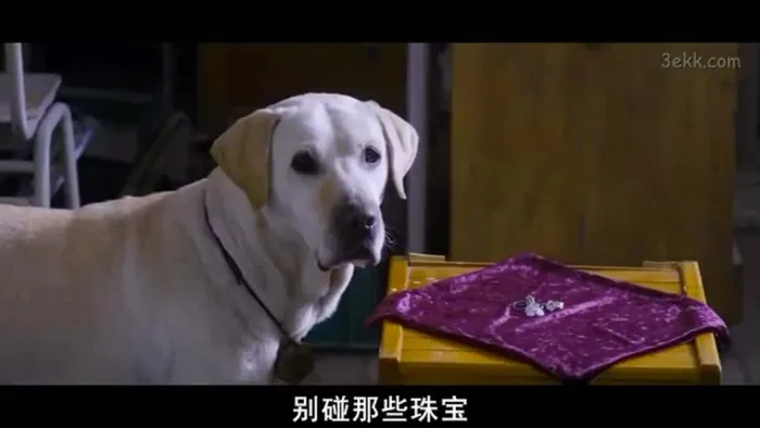 [2010][中国_韩国][人狗奇缘2_心心历险记][韩语中字][RMVB][368MB][百度网盘]
