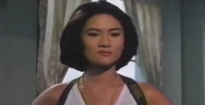 [1993][中国台湾]《波霸总动员》[国语中字][MP4_350M]