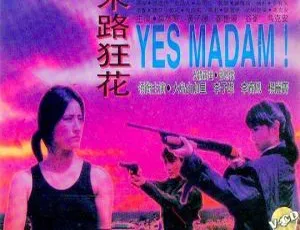 1992香港经典！杨丽菁李赛凤《末路狂花》国语中字MKV 2.02G