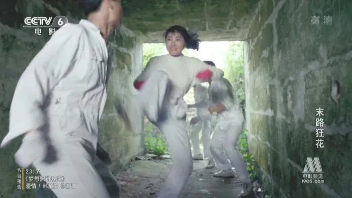 [1992][香港]《末路狂花》[国语中字][MKV_2.02G][杨丽菁_李赛凤]