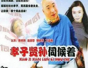 1993 大陆经典《孝子贤孙伺候着》标清 CCTV 录制 345M MP4 资源-小文资源网